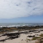 Samsung Galaxy Note 9 Review – Cape Town Guy Camera Test (105)