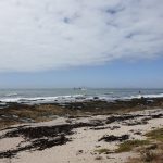 Samsung Galaxy Note 9 Review – Cape Town Guy Camera Test (106)