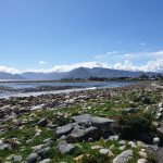 Samsung Galaxy Note 9 Review – Cape Town Guy Camera Test (11)