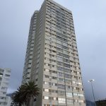 Samsung Galaxy Note 9 Review – Cape Town Guy Camera Test (110)