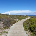 Samsung Galaxy Note 9 Review – Cape Town Guy Camera Test (12)