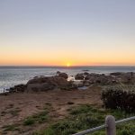 Samsung Galaxy Note 9 Review – Cape Town Guy Camera Test (27)