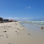 Samsung Galaxy Note 9 Review – Cape Town Guy Camera Test (30)