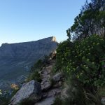 Samsung Galaxy Note 9 Review – Cape Town Guy Camera Test (39)
