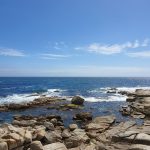 Samsung Galaxy Note 9 Review – Cape Town Guy Camera Test (53)