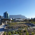 Samsung Galaxy Note 9 Review – Cape Town Guy Camera Test (65)