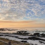 Samsung Galaxy Note 9 Review – Cape Town Guy Camera Test (73)