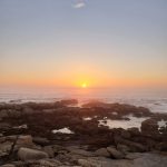 Samsung Galaxy Note 9 Review – Cape Town Guy Camera Test (76)