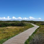 Samsung Galaxy Note 9 Review – Cape Town Guy Camera Test (9)