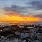 Samsung Galaxy S10 Plus Camera Test – Cape Town Guy (16)