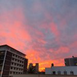 Samsung Galaxy S10 Plus Camera Test – Cape Town Guy (17)