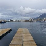 Samsung Galaxy S10 Plus Camera Test – Cape Town Guy (19)