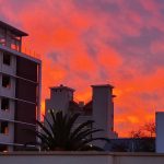 Samsung Galaxy S10 Plus Camera Test – Cape Town Guy (3)