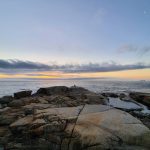 Samsung Galaxy S10 Plus Camera Test – Cape Town Guy (7)