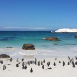 Boulders Beach