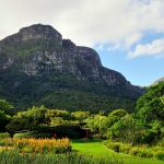 kirstenbosch-national-botanical-garden