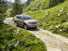 What will YOU be doing with your extra day this leap year?