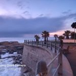 Samsung Galaxy A31 Review Cape Town Guy – Camera Test (28)