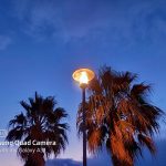 Samsung Galaxy A31 Review Cape Town Guy – Camera Test (30)