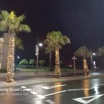 Samsung Galaxy A31 Review Cape Town Guy – Camera Test (35)
