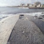 Samsung Galaxy A31 Review Cape Town Guy – Camera Test (36)