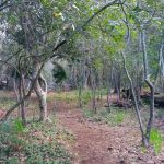 Nokia 2.3 Review – Camera Test – Cape Town Guy (1)