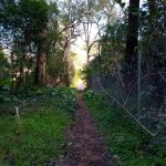 Nokia 2.3 Review – Camera Test – Cape Town Guy (10)