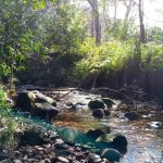 Nokia 2.3 Review – Camera Test – Cape Town Guy (11)