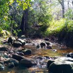 Nokia 2.3 Review – Camera Test – Cape Town Guy (12)