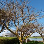 Nokia 2.3 Review – Camera Test – Cape Town Guy (13)