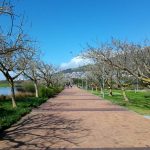 Nokia 2.3 Review – Camera Test – Cape Town Guy (14)