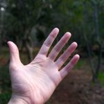 Nokia 2.3 Review – Camera Test – Cape Town Guy (2)
