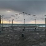 Nokia 2.3 Review – Camera Test – Cape Town Guy (29)