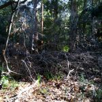 Nokia 2.3 Review – Camera Test – Cape Town Guy (3)
