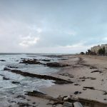 Nokia 2.3 Review – Camera Test – Cape Town Guy (31)