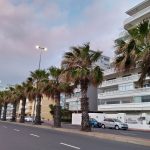 Nokia 2.3 Review – Camera Test – Cape Town Guy (34)