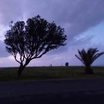 Nokia 2.3 Review – Camera Test – Cape Town Guy (36)