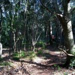 Nokia 2.3 Review – Camera Test – Cape Town Guy (4)