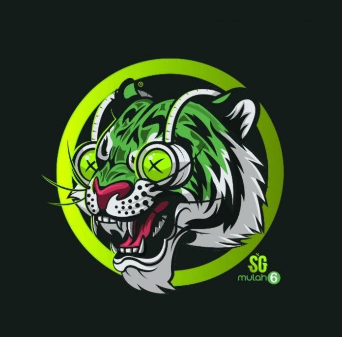 South Africa's Own competitive eSports team