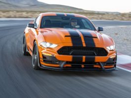 Shelby Signature Series