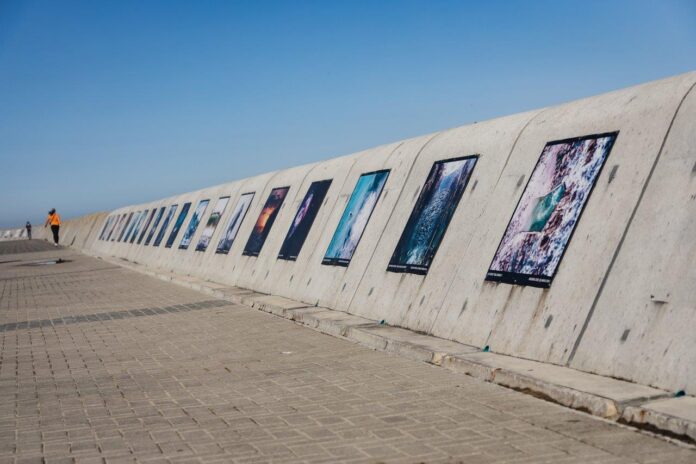 Annual Sea Point Promenade Photographic Exhibition opens for entries