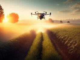 Moyo, a leading digital business consultancy based in South Africa, has partnered with Dell Technologies to introduce an autonomous drone that uses AI to detect potato leaf disease.