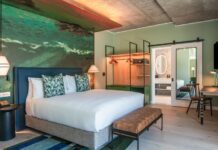 Canopy by Hilton Cape Town