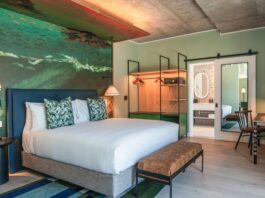 Canopy by Hilton Cape Town