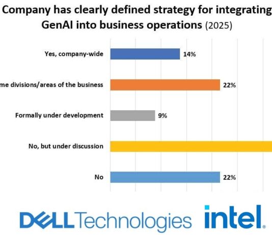 SA businesses embrace GenAI – but strategy and skills lagging, finds 2025 Roadmap
