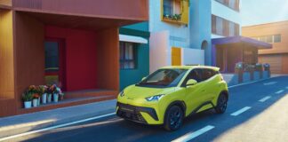 BYD Launches Anticipated Dolphin Surf In South Africa