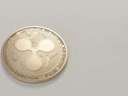 XRP price
