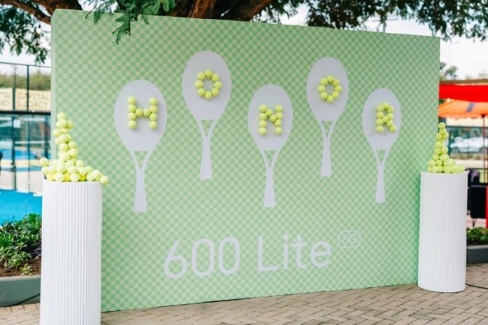 HONOR 600 Lite
